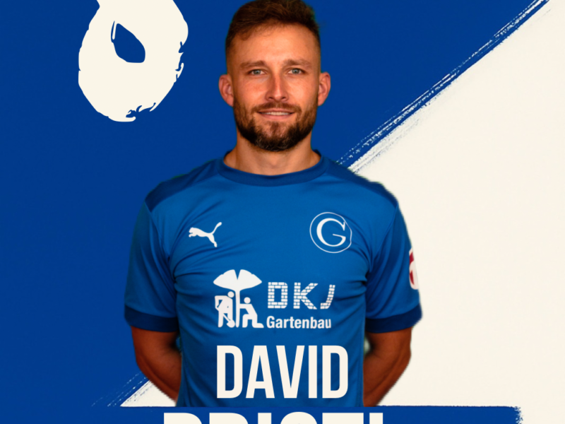 David Pristl